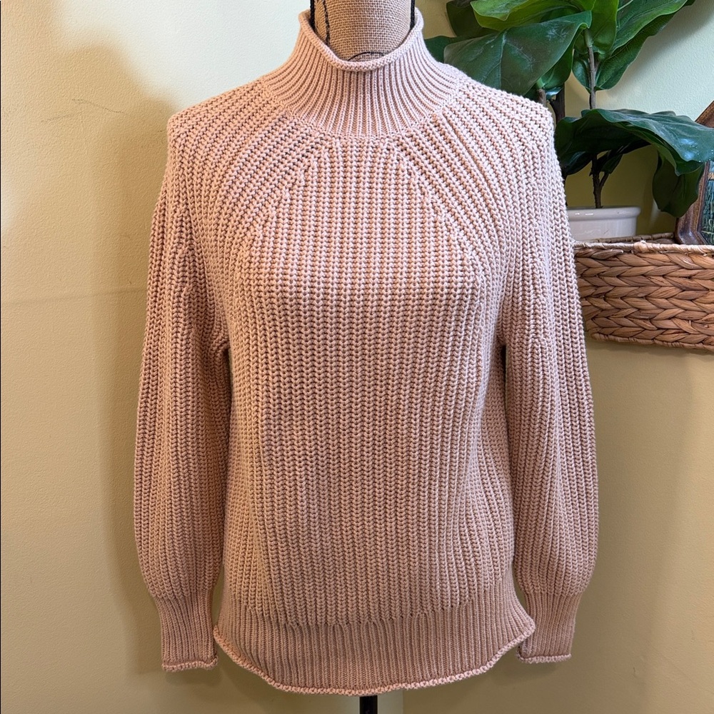 NWT J. Crew Relaxed Rollneck Sweater Sandy Beach Sz XS